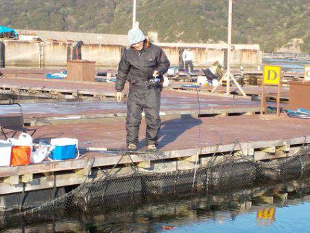 淡路じゃのひれフィッシングパーク 釣果