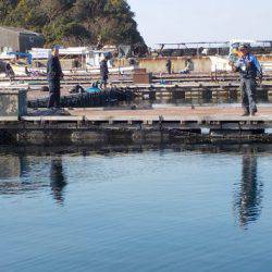 淡路じゃのひれフィッシングパーク 釣果