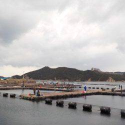 淡路じゃのひれフィッシングパーク 釣果