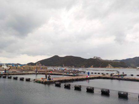 淡路じゃのひれフィッシングパーク 釣果