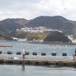 淡路じゃのひれフィッシングパーク 釣果