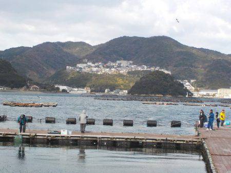 淡路じゃのひれフィッシングパーク 釣果