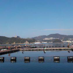 淡路じゃのひれフィッシングパーク 釣果