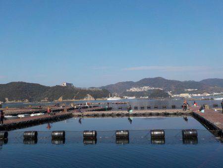 淡路じゃのひれフィッシングパーク 釣果