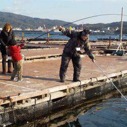 淡路じゃのひれフィッシングパーク 釣果