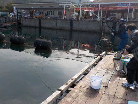 淡路じゃのひれフィッシングパーク 釣果