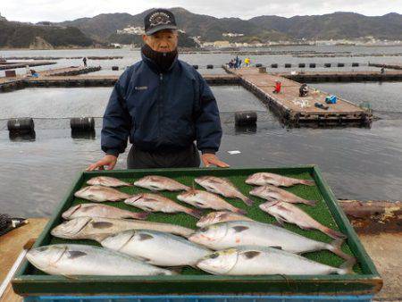 淡路じゃのひれフィッシングパーク 釣果
