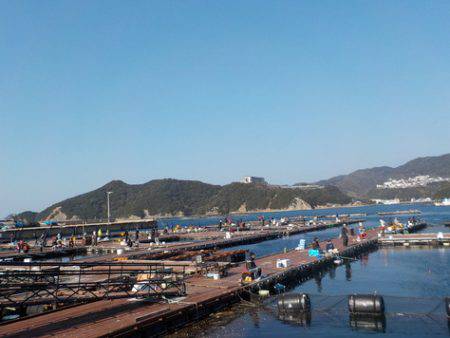 淡路じゃのひれフィッシングパーク 釣果