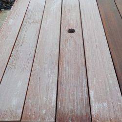 淡路じゃのひれフィッシングパーク 釣果