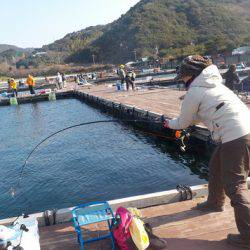 淡路じゃのひれフィッシングパーク 釣果