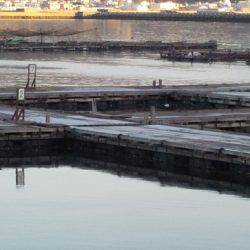 淡路じゃのひれフィッシングパーク 釣果