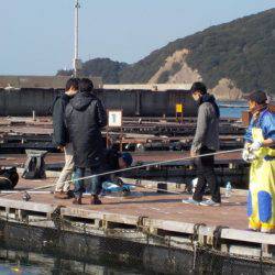 淡路じゃのひれフィッシングパーク 釣果