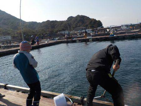 淡路じゃのひれフィッシングパーク 釣果