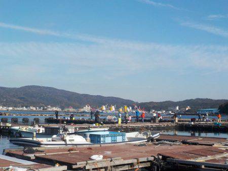 淡路じゃのひれフィッシングパーク 釣果