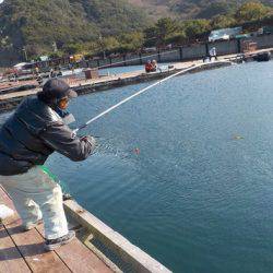 淡路じゃのひれフィッシングパーク 釣果