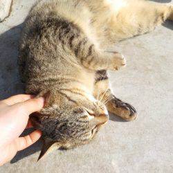 淡路じゃのひれフィッシングパーク 釣果