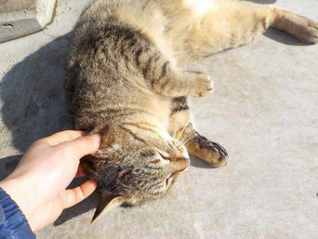 淡路じゃのひれフィッシングパーク 釣果