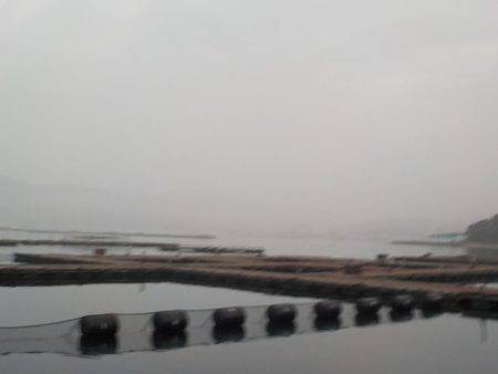 淡路じゃのひれフィッシングパーク 釣果