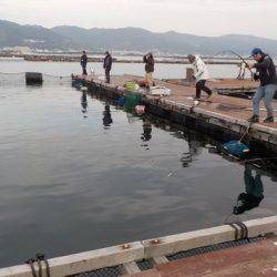 淡路じゃのひれフィッシングパーク 釣果