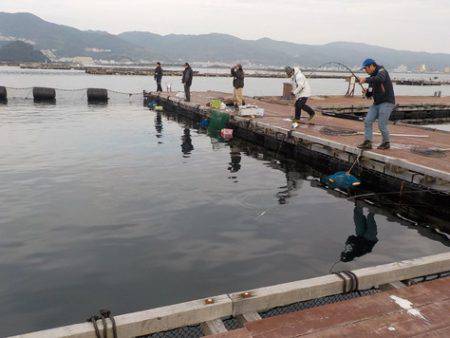 淡路じゃのひれフィッシングパーク 釣果