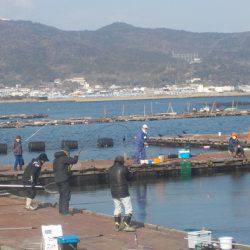 淡路じゃのひれフィッシングパーク 釣果