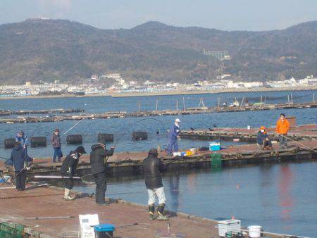 淡路じゃのひれフィッシングパーク 釣果