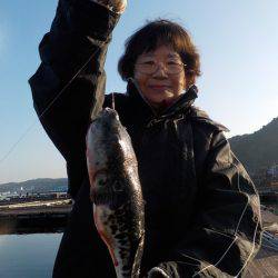 淡路じゃのひれフィッシングパーク 釣果