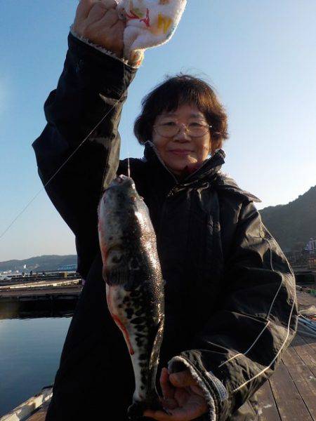 淡路じゃのひれフィッシングパーク 釣果