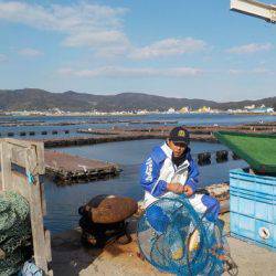 淡路じゃのひれフィッシングパーク 釣果