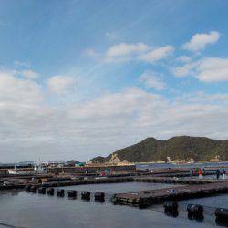 淡路じゃのひれフィッシングパーク 釣果