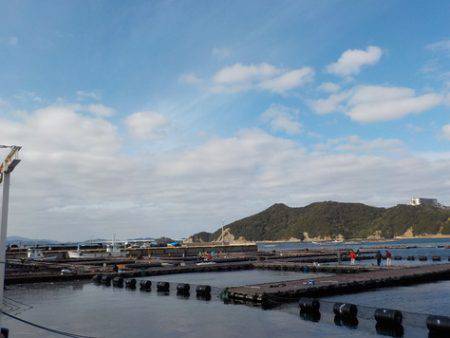 淡路じゃのひれフィッシングパーク 釣果