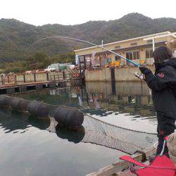 淡路じゃのひれフィッシングパーク 釣果