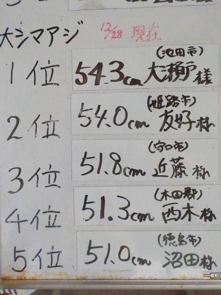 淡路じゃのひれフィッシングパーク 釣果