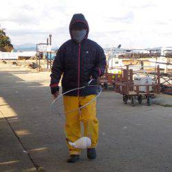 淡路じゃのひれフィッシングパーク 釣果