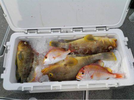 第二大福丸 釣果