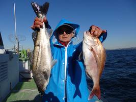 久里浜黒川本家 釣果