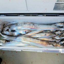 遊漁船 ニライカナイ 釣果