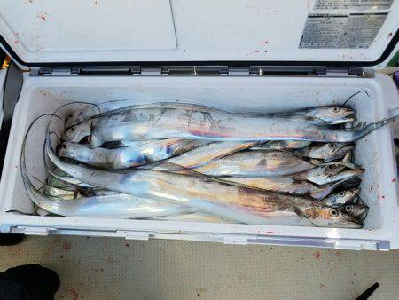 遊漁船　ニライカナイ 釣果