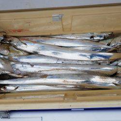 遊漁船　ニライカナイ 釣果