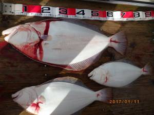 石川丸 釣果
