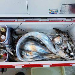 遊漁船　ニライカナイ 釣果