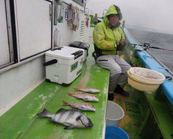 久里浜黒川本家 釣果