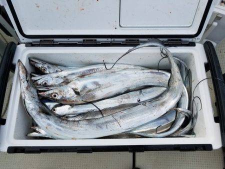 遊漁船　ニライカナイ 釣果