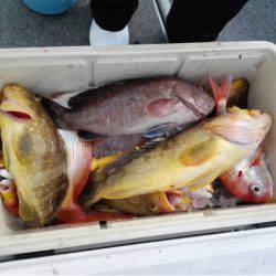 第二大福丸 釣果