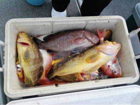 第二大福丸 釣果