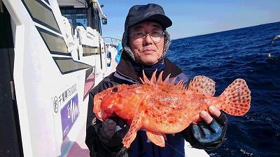 しまや丸 釣果