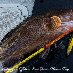 Marine Frog 釣果