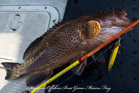 Marine Frog 釣果