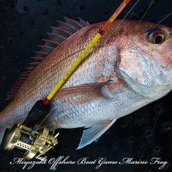 Marine Frog 釣果