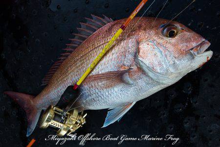 Marine Frog 釣果